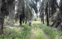 Jalan Sukepi, Jenjarom, Selangor 42600