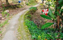 Bukit Jambul, Penang