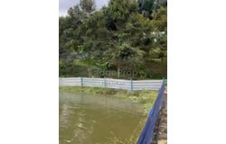 Raub, Pahang 26700