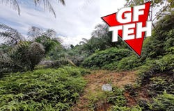 Selama, Perak 34100