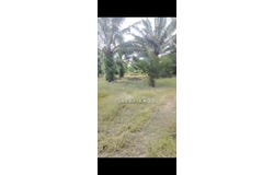 Sepang, Selangor 43900