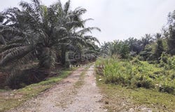 Kuala Langat, Selangor 42700