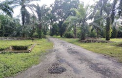 Telok Panglima Garang, Selangor 42500