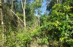 Bentong, Pahang 28750
