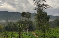Semenyih, Selangor
