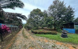 Kulai, Johor 81000