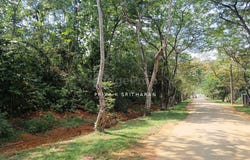 Jalan Ros 3, Hulu Selangor, Selangor 48300