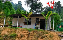 Balik Pulau, Penang 11000