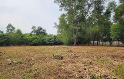 Shah Alam, Selangor 40150