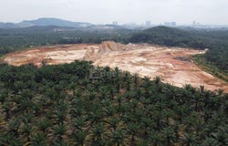 Shah Alam, Selangor 45600
