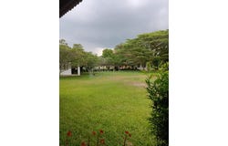 Sungai Pelek, Sepang, Selangor 43950