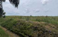 Kulai, Johor 81000
