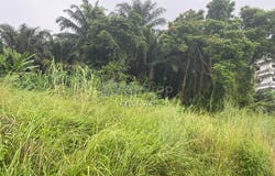 Johor Bahru, Johor 81200