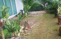 Jalan PJU 8/1, Bandar Damansara Perdana, 47820, Selangor, Damansara Perdana, Selangor 47820
