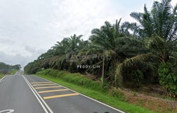 Kota Tinggi, Johor 81900