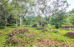 Bentong, Pahang 28750