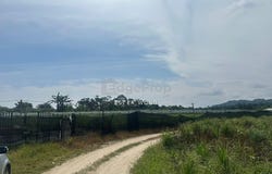 Pekan Nanas (Pekan Nenas), Johor