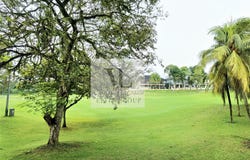 Jalan Kelab Tropicana, Tropicana, Selangor 47410
