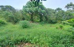 Klang, Selangor 41200