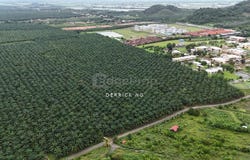 Pendang, Kedah 6700