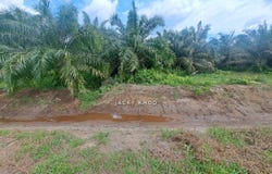 Banting, Selangor 42700