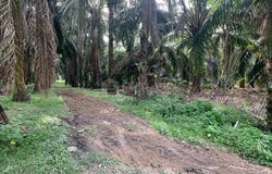 Parit, Perak 32800