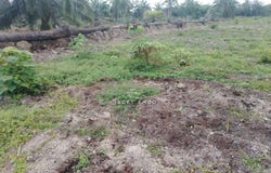 Banting, Selangor 42700