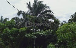 Banting, Selangor 42700