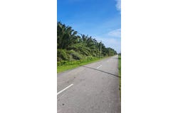 Banting, Selangor 42700