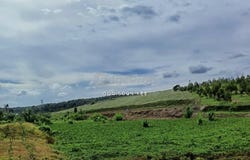 Senai, Johor 81400