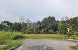 Jalan Rimba Riang 9/12, Kota Damansara, Selangor 0