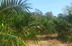 Tanjung Malim, Perak 35900