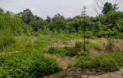 Sungai Buloh, Selangor 40160