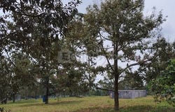 Ulu Tiram, Johor