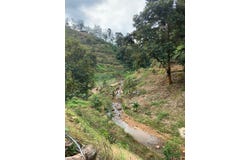 Raub, Pahang 26700
