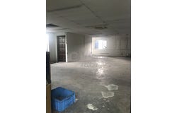 Petaling Jaya, Selangor 47500