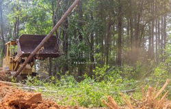 Banting, Selangor 42700
