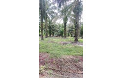 Jenjarom, Selangor 42600