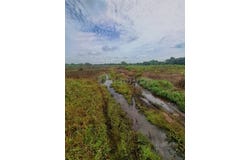 Klang, Selangor 41200