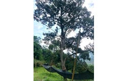 Karak, Pahang 28600