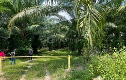 Selangor, Sepang, Selangor 43800