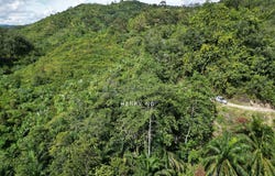 Kuala Kangsar, Perak 31100