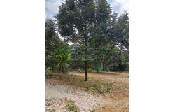 Raub, Pahang 26700