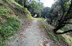 George Town, Penang 33300