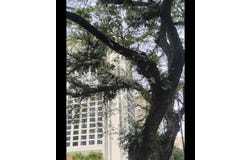Jalan Ampang KLCC 50450 Kuala Lumpur, KL City Centre, Kuala Lumpur 50450