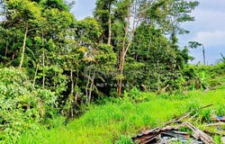 Bentong, Pahang