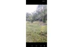 Sepang, Selangor 43900