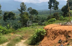 Kuala Kangsar, Perak 31100