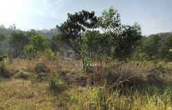 Shah Alam, Selangor 40160