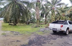 Telok Panglima Garang, Selangor 42500
